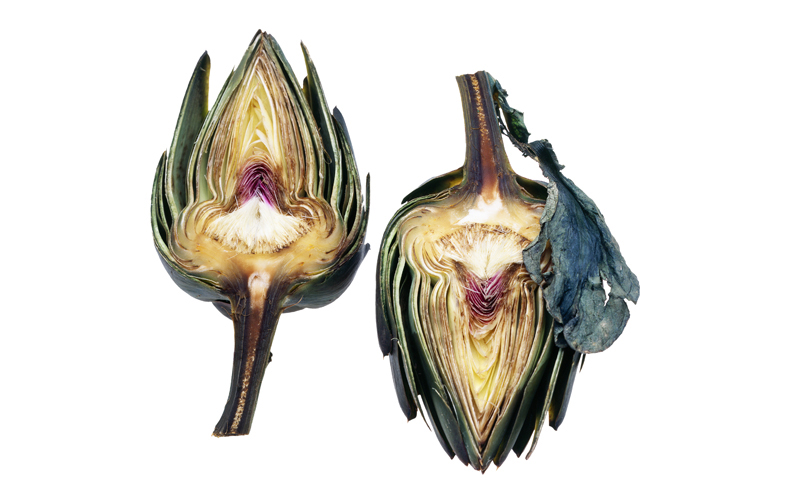 artichoke